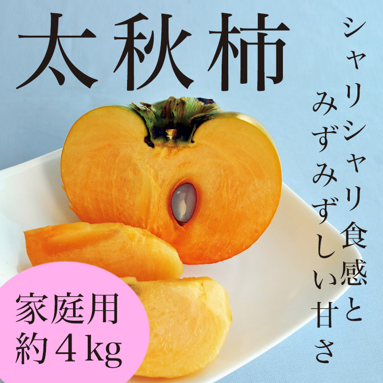 太秋柿家庭用 約4kg（12〜14玉）福岡県産