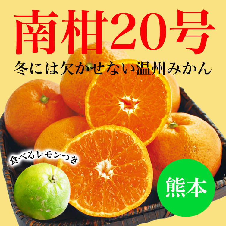 熊本県産　食べるレモン（3個/約500〜600g）＆南柑20号（約2.4〜2.5g）