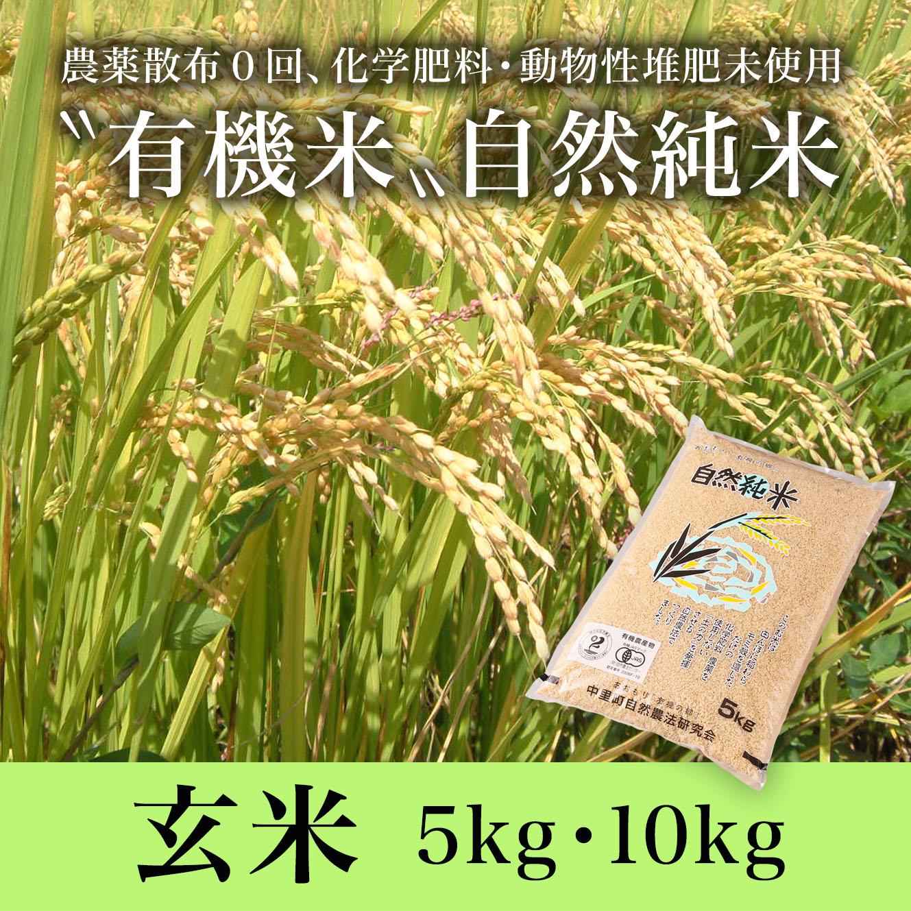 自然純米【玄米】