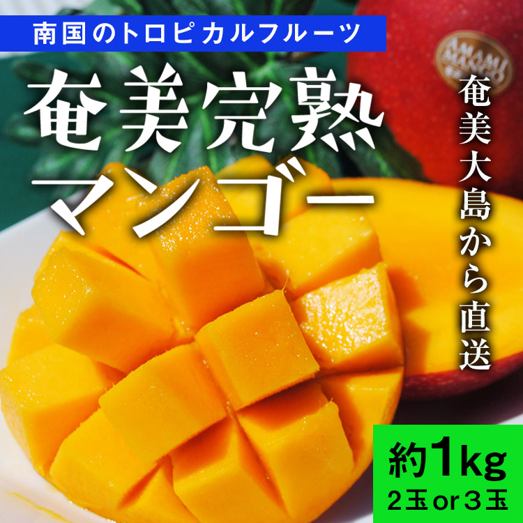 奄美完熟マンゴー2〜3玉（約1kg）／奄美大島産