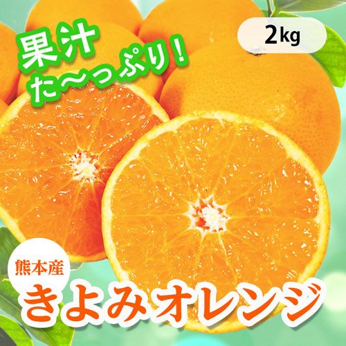 きよみオレンジ 2kg 